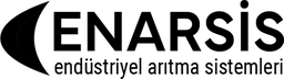 Enarsis